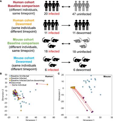 Whipworm-Associated Intestinal Microbiome Members Consistent Across Both Human and Mouse Hosts